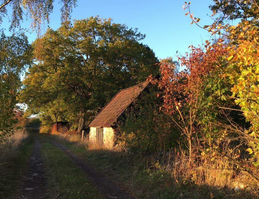 Rosenborgs Friluftspensionat Ферьестаден Экстерьер фото