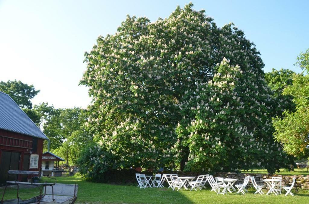 Rosenborgs Friluftspensionat Ферьестаден Экстерьер фото